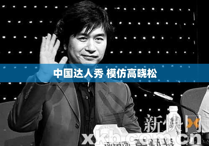 中国达人秀 模仿高晓松