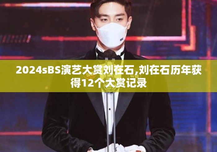2024sBS演艺大赏刘在石,刘在石历年获得12个大赏记录