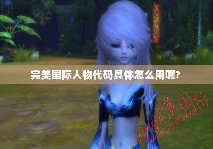 完美国际人物代码具体怎么用呢? 