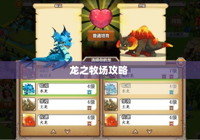 龙之牧场攻略 