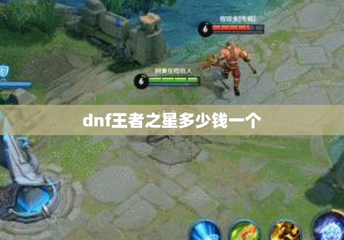 dnf王者之星多少钱一个
