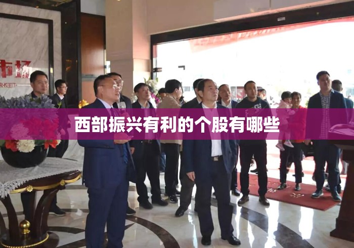 西部振兴有利的个股有哪些 西部振兴有利的个股有哪些