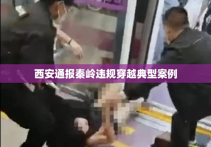 西安通报秦岭违规穿越典型案例