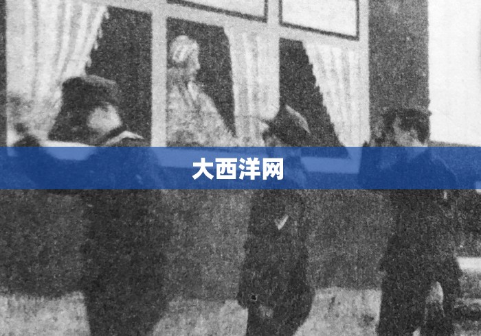 大西洋网 