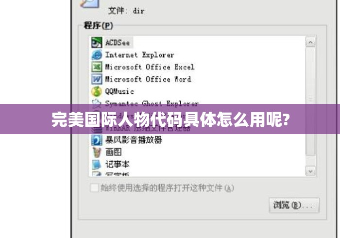 完美国际人物代码具体怎么用呢?