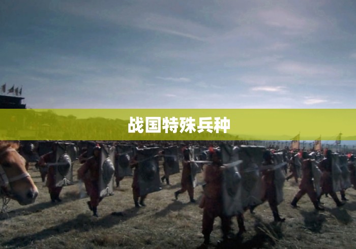 战国特殊兵种 战国特殊兵种