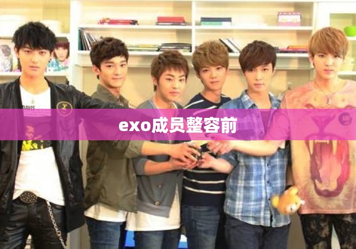 exo成员整容前 exo成员整容前