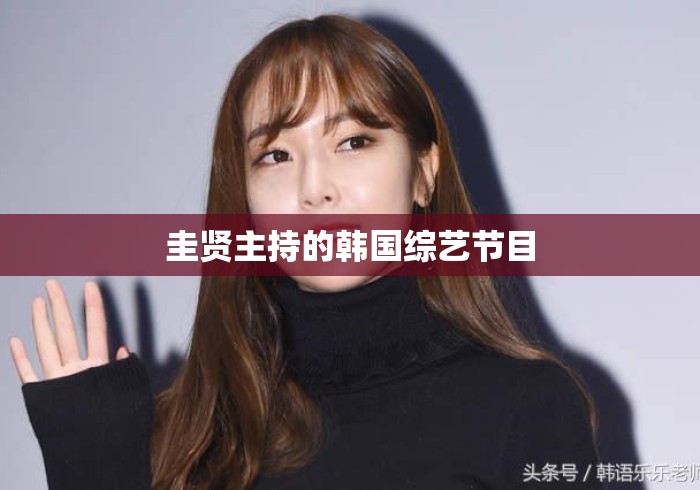 圭贤主持的韩国综艺节目