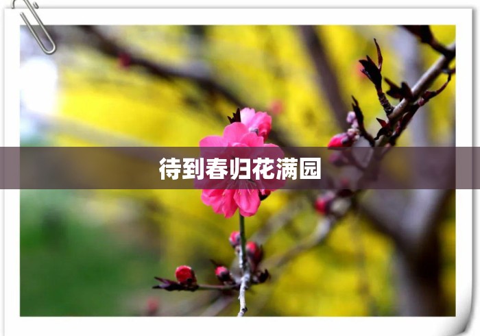 待到春归花满园
