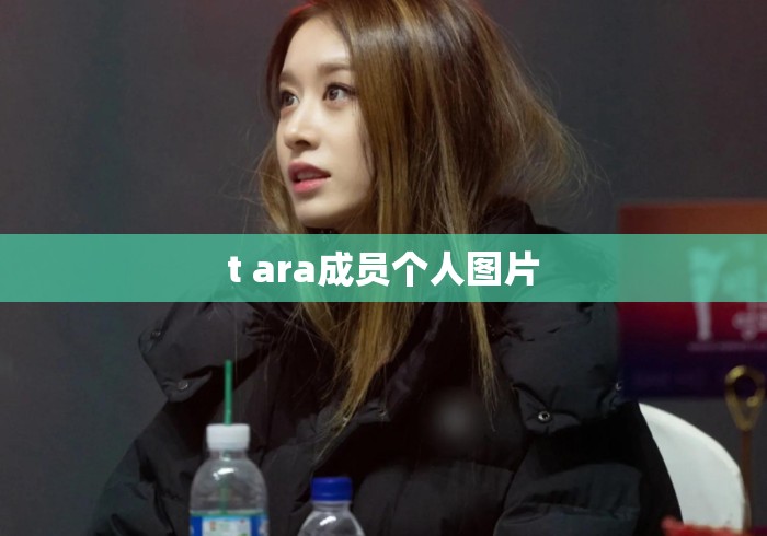 t ara成员个人图片