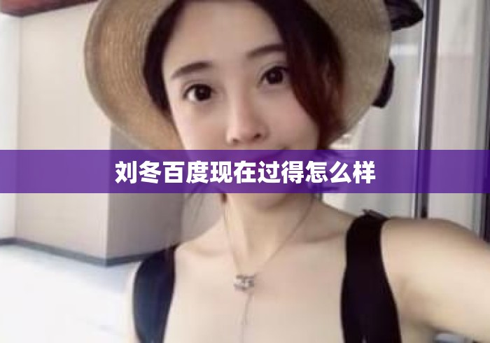 刘冬百度现在过得怎么样
