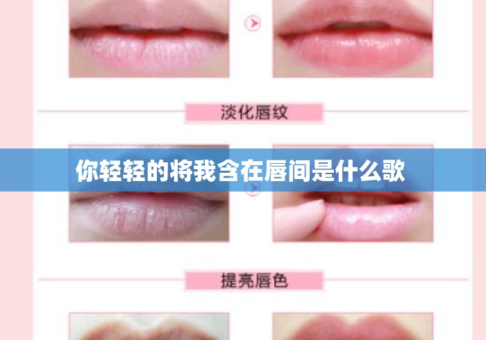 你轻轻的将我含在唇间是什么歌 