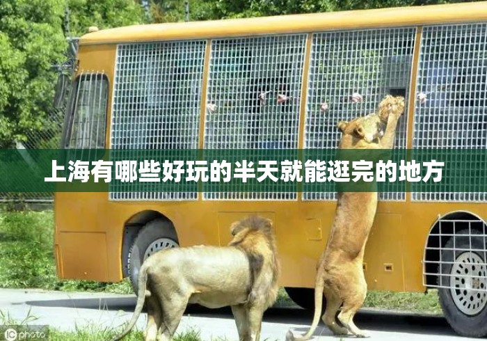 上海有哪些好玩的半天就能逛完的地方