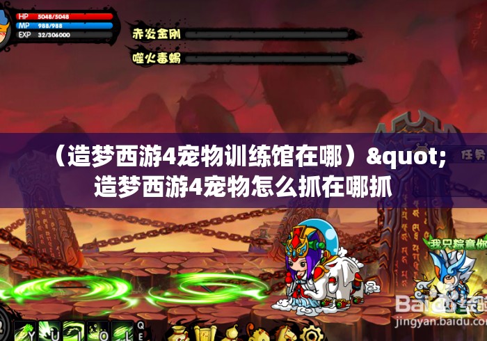 （造梦西游4宠物训练馆在哪）" 造梦西游4宠物怎么抓在哪抓