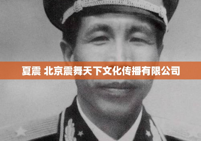 夏震 北京震舞天下文化传播有限公司