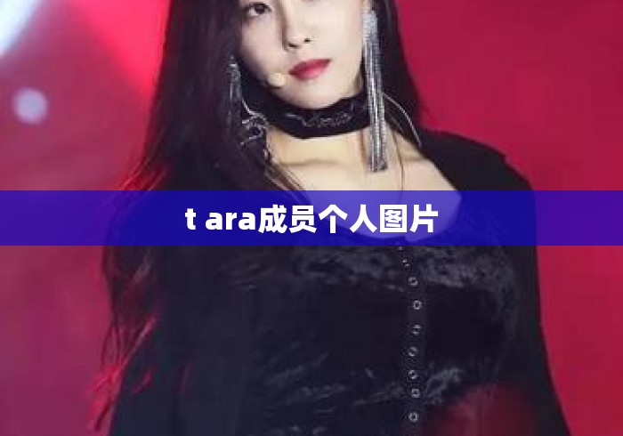 t ara成员个人图片