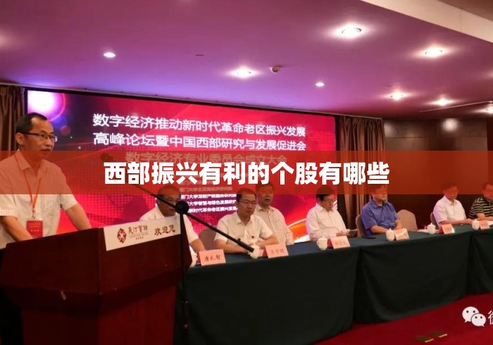 西部振兴有利的个股有哪些