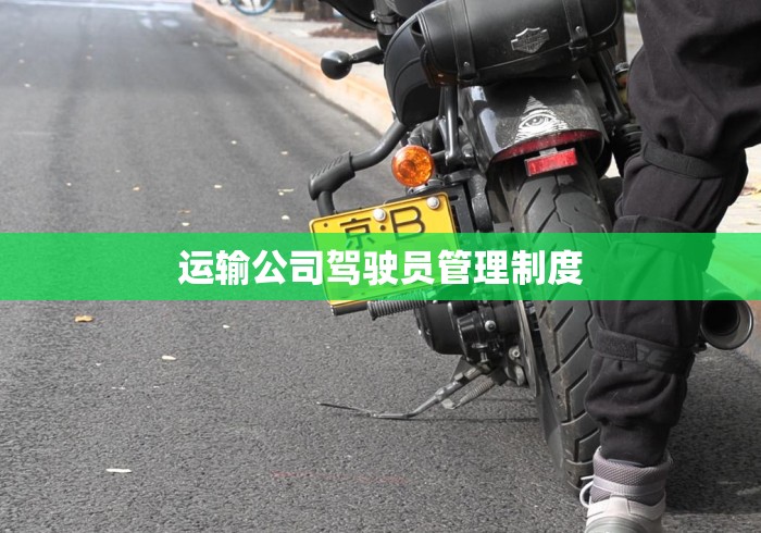 运输公司驾驶员管理制度 运输公司驾驶员管理制度