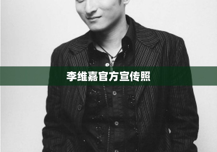 李维嘉官方宣传照 李维嘉官方宣传照