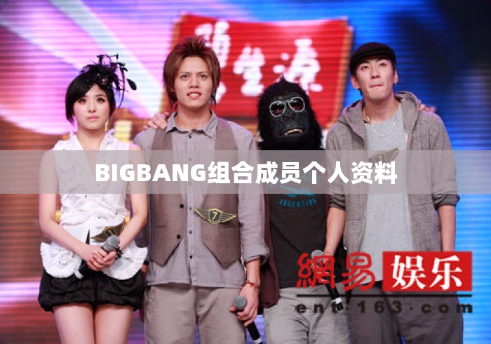 BIGBANG组合成员个人资料 BIGBANG组合成员个人资料