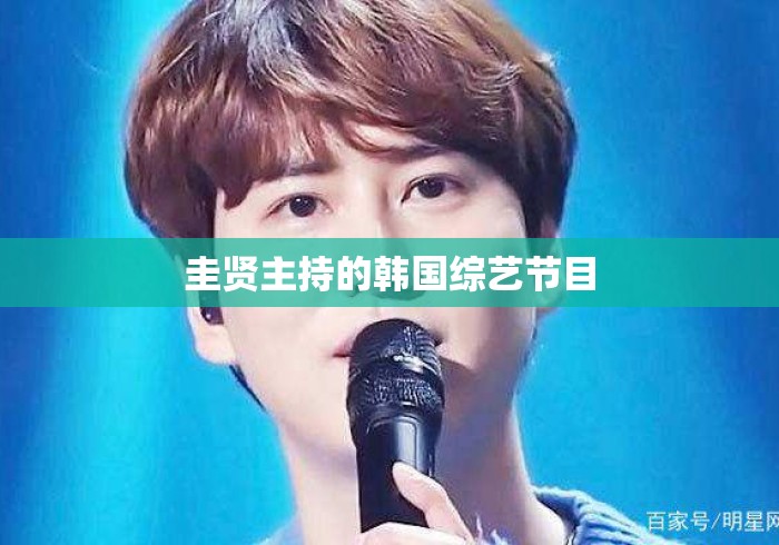 圭贤主持的韩国综艺节目