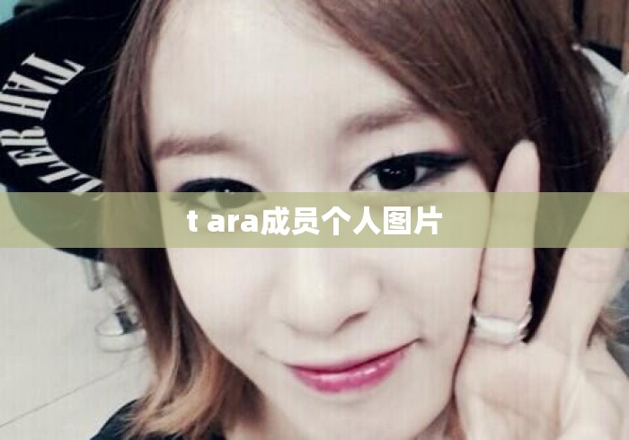 t ara成员个人图片