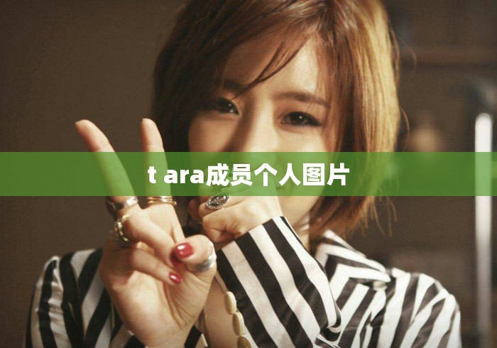 t ara成员个人图片