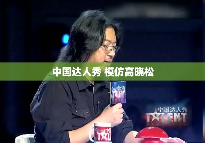 中国达人秀 模仿高晓松