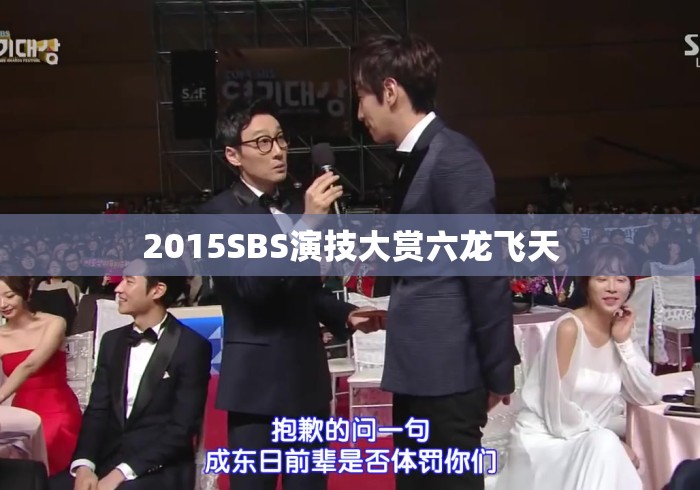 2015SBS演技大赏六龙飞天 2015SBS演技大赏六龙飞天