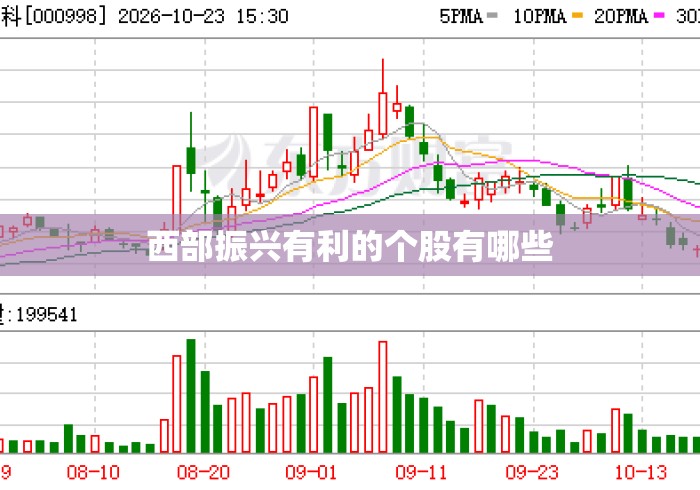 西部振兴有利的个股有哪些