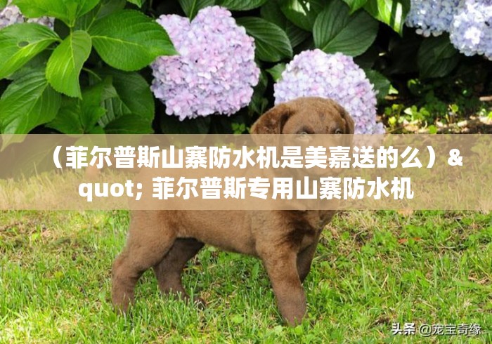 （菲尔普斯山寨防水机是美嘉送的么）" 菲尔普斯专用山寨防水机