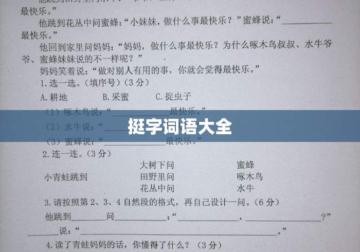 挺字词语大全
