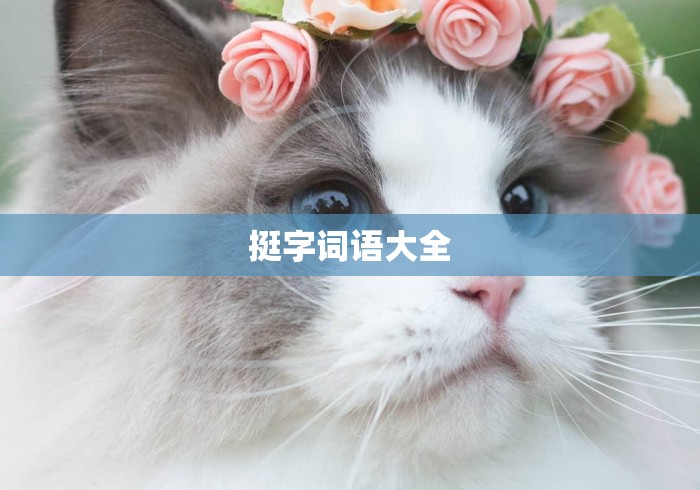 挺字词语大全 挺字词语大全