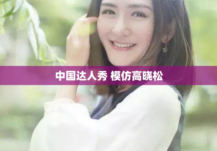中国达人秀 模仿高晓松
