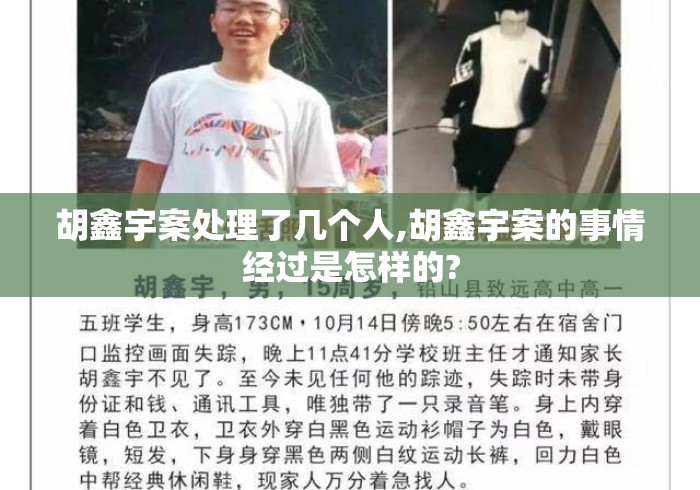 胡鑫宇案处理了几个人,胡鑫宇案的事情经过是怎样的? 胡鑫宇案处理了几个人,胡鑫宇案的事情经过是怎样的?