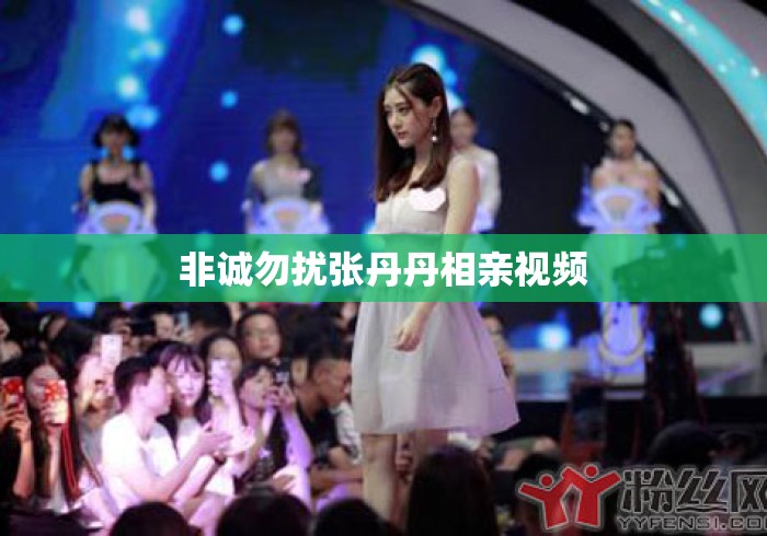 非诚勿扰张丹丹相亲视频