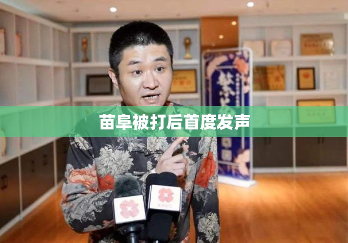 苗阜被打后首度发声