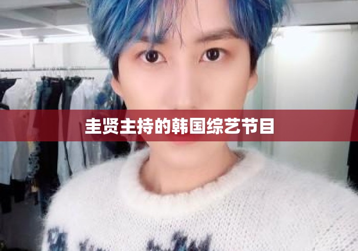 圭贤主持的韩国综艺节目 圭贤主持的韩国综艺节目