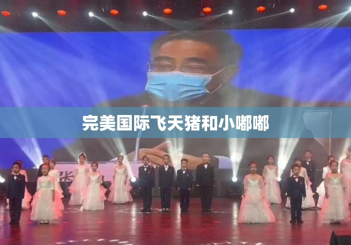 完美国际飞天猪和小嘟嘟