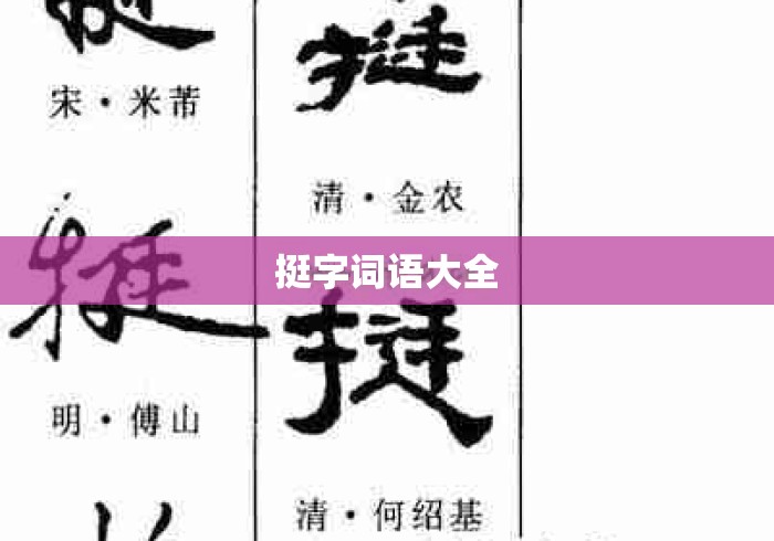 挺字词语大全 挺字词语大全