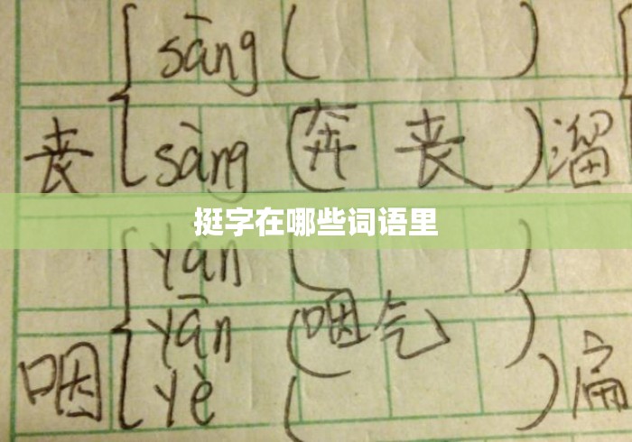 挺字在哪些词语里 挺字在哪些词语里