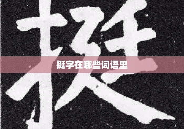 挺字在哪些词语里 挺字在哪些词语里