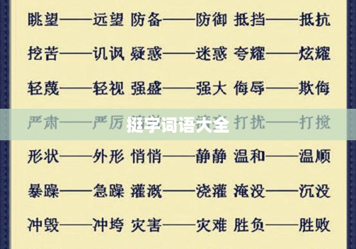 挺字词语大全