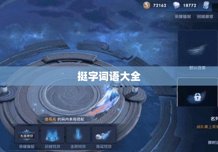 挺字词语大全