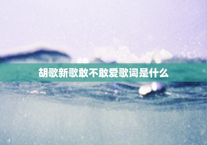 胡歌新歌敢不敢爱歌词是什么