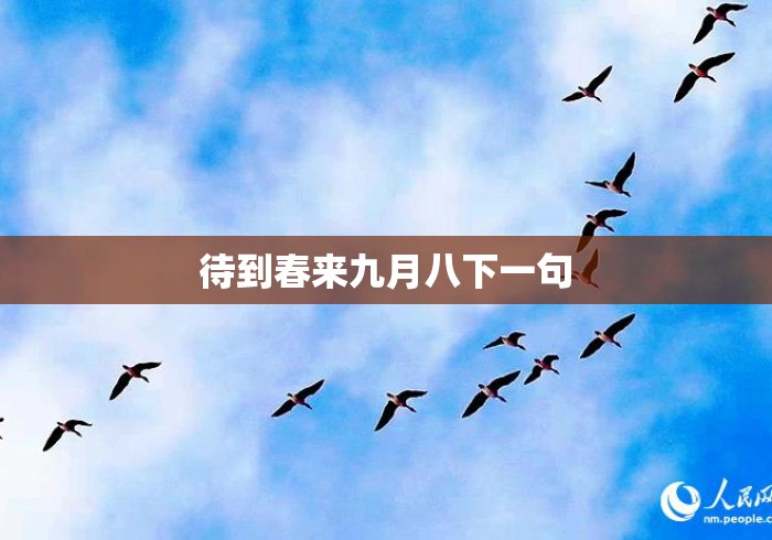 待到春来九月八下一句 待到春来九月八下一句