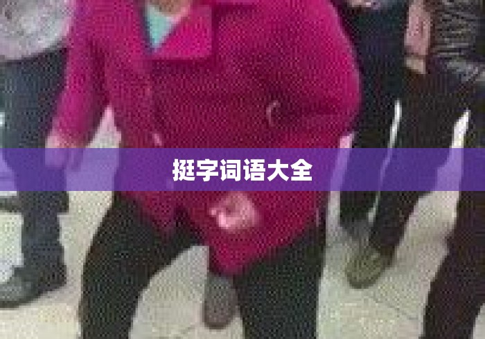 挺字词语大全