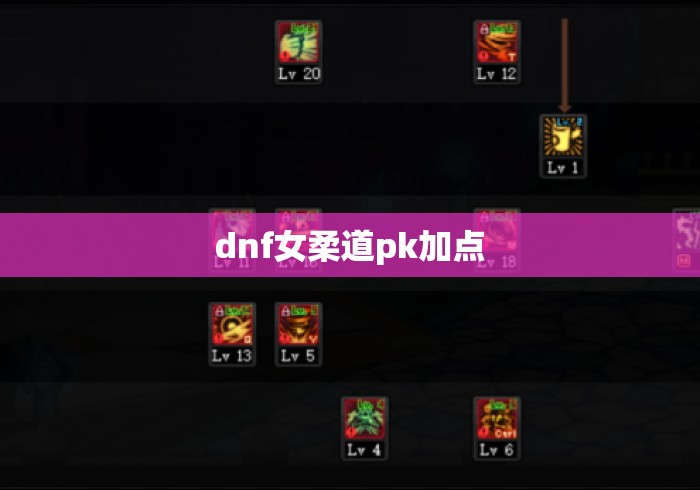 dnf女柔道pk加点