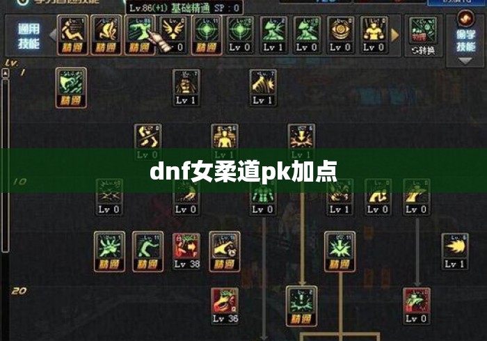 dnf女柔道pk加点