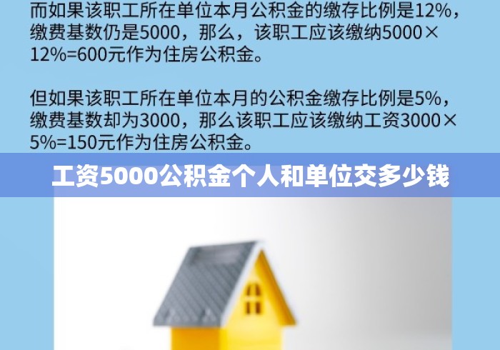 工资5000公积金个人和单位交多少钱 工资5000公积金个人和单位交多少钱